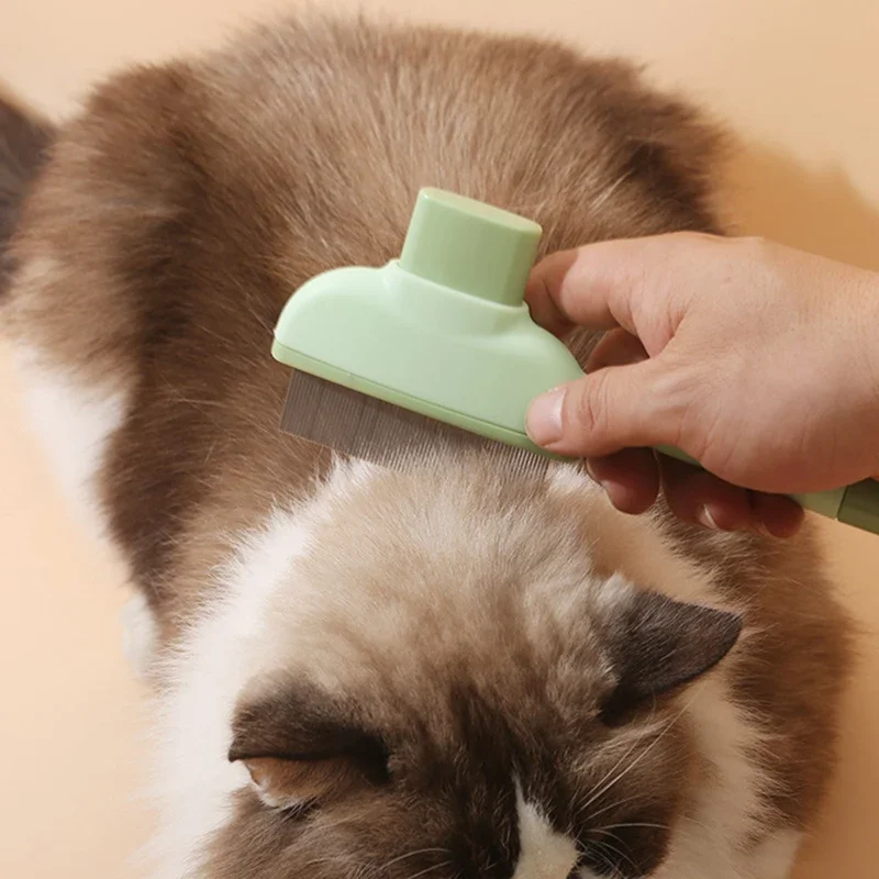 Pet Cat Comb Cat and Dog Hair  - Beauty Makeup Artist 评论和价格
